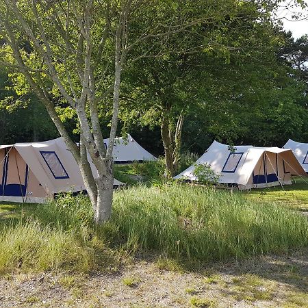 Ameland Tentenverhuur Nes  Exterior foto