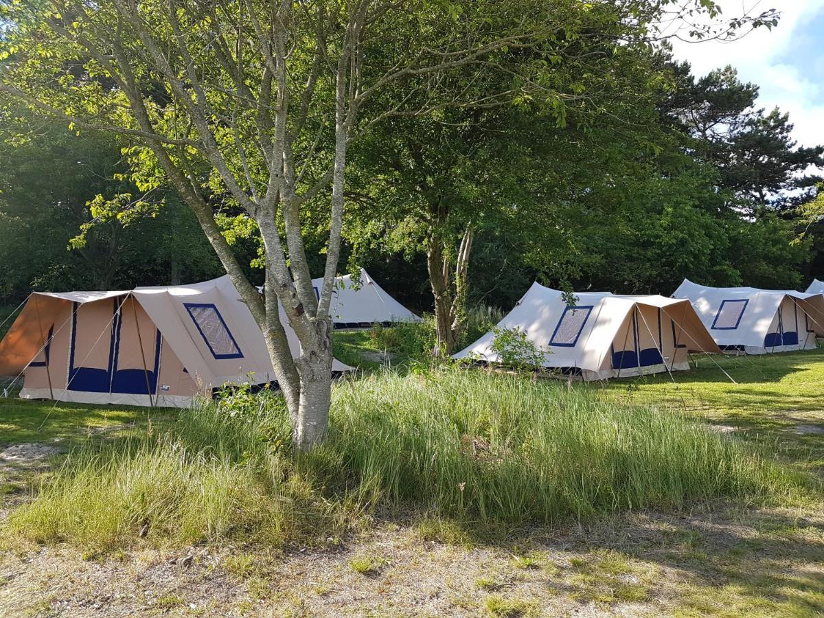 Ameland Tentenverhuur Nes  Exterior foto