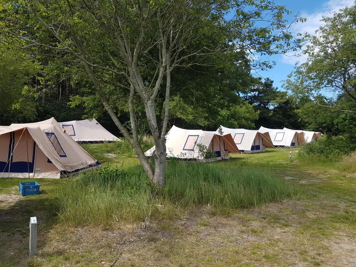 Ameland Tentenverhuur Nes  Exterior foto